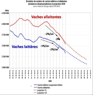 Décryptage bovins viande : décapitalisation, de quoi es-tu le nom ?