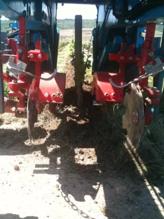 Les fraises interceps mulchent et désherbent les rangs de vigne