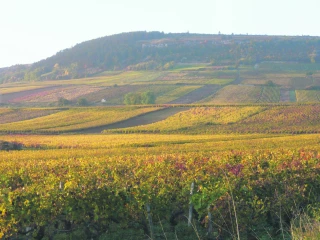 De la pédagogie sur les cotisations pour expliquer les actions des trois pôles