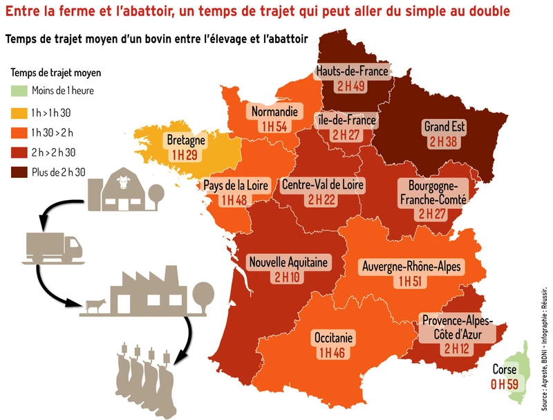 Entre la ferme et l’abattoir, un temps de trajet qui peut aller du simple au double