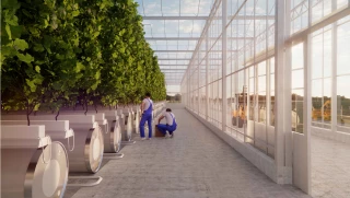 Une Qanopée appelée à grandir