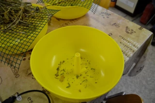 Collections automne/hiver et printemps/été