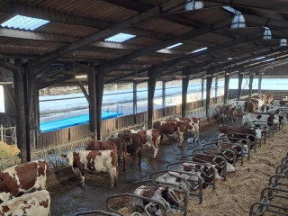 D'anciens bâtiments réaménagés retrouvent leur fonction