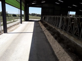 Profiter de la lumière naturelle en ouvrant le bâtiment sur les côtés.