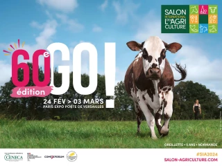 Un salon sous haute tension ?
