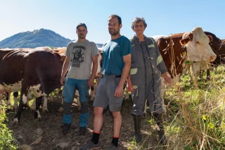 La Ferme des Bertrand ou la vraie vie des paysans