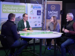 La décarbonation en vitiviniculture : retrouvez notre émission d’Agriculturez-vous