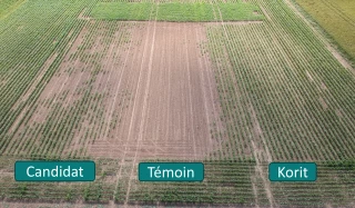 Les fléaux des agriculteurs