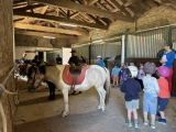 Poney club