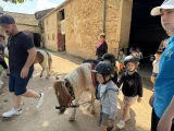 Poney club