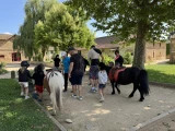 Poney club