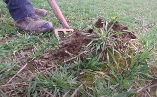 Depuis une décennie qu'ils existent, les GIEE ont permis de faire avancer, de manière collective, la réflexion des agriculteurs sur de nombreux aspects de leurs pratiques notamment agroécologiques.