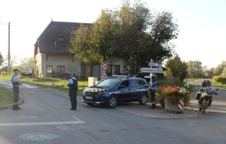 DNC : des mesures renforcées sur les mouvements de bovins 