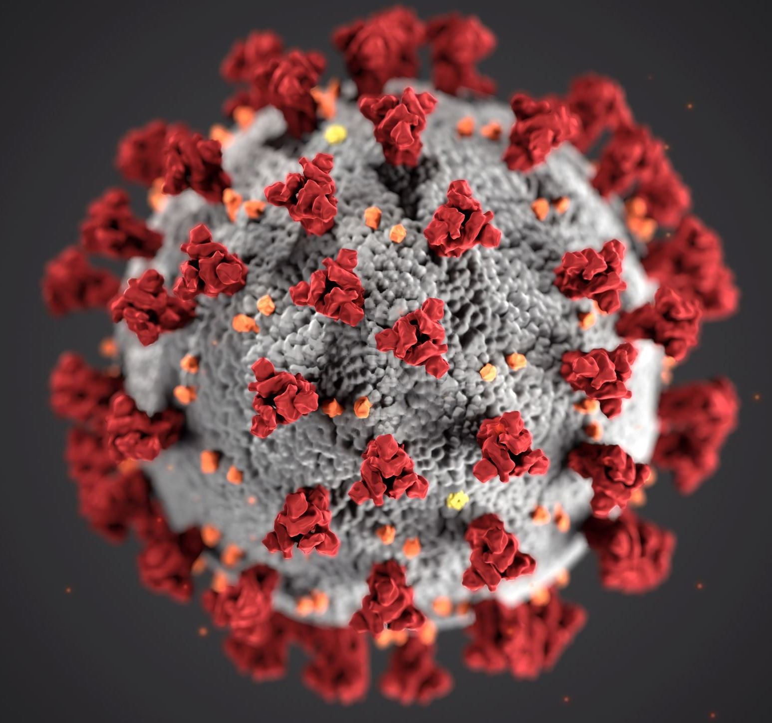 Coronavirus: le gouvernement élargit et adapte l'aide alimentaire
