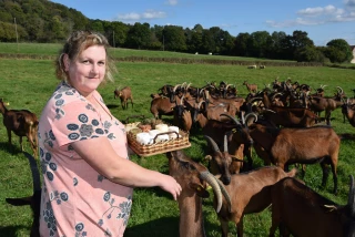 L'EAU A LA BOUCHE : Mélanie Martin à Mesvres : les Chèvres de Charmasse ont leur secret !