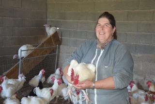 L'EAU A La BOUCHE : D’authentiques volailles de ferme !