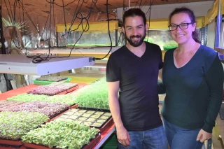 L’EAU À LA BOUCHE : Micro pousses et maxi saveurs