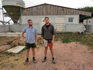 Des porcs bio dans le bocage du Haut-Clunisois