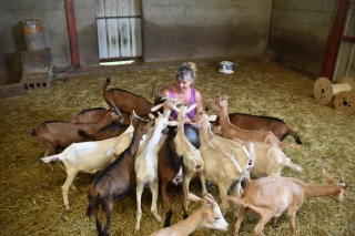 Duo d’lait, agriculteurs de fils en père