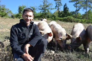 Eleveur de Porcs plein-air du Morvan !