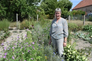 Flor’Aline à Curgy : des vaches et des plantes aromatiques !