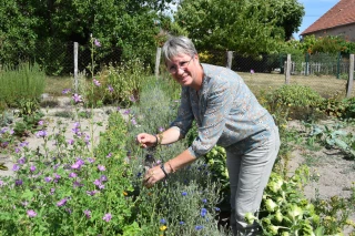 Flor’Aline à Curgy : Aline et ses tisanes morvandelles