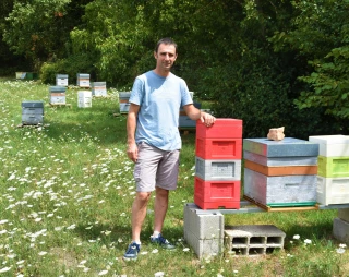 Le miel sous toutes ses formes