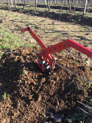 Arracher et complanter sans se planter