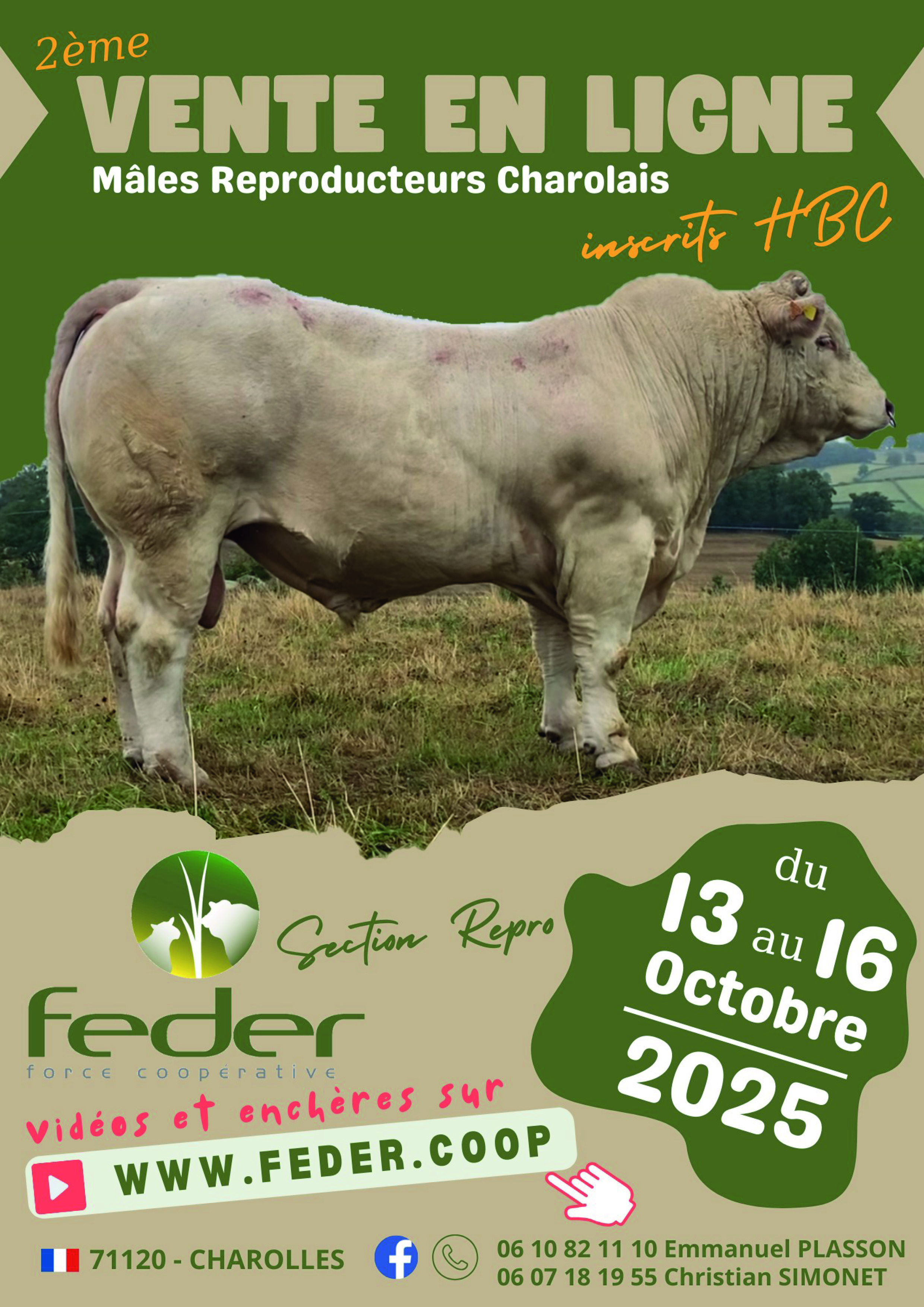 Vente en ligne mâles reproducteurs charolais du 13 au 16 octobre 2025 sur www.feder.coop