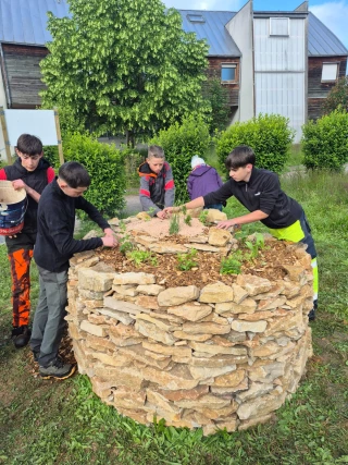 Lycée de la nature et de la forêt de Velet, création d'une spirale en pierres sèches avec plants d'herbes aromatiques.