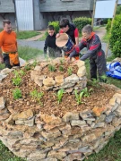 Dernières touches apportées par les élèves sur la spirale d'herbe aromatiques.