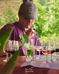 Dégustation porto du prestigieux domaine portugais Quinta do Tedo 