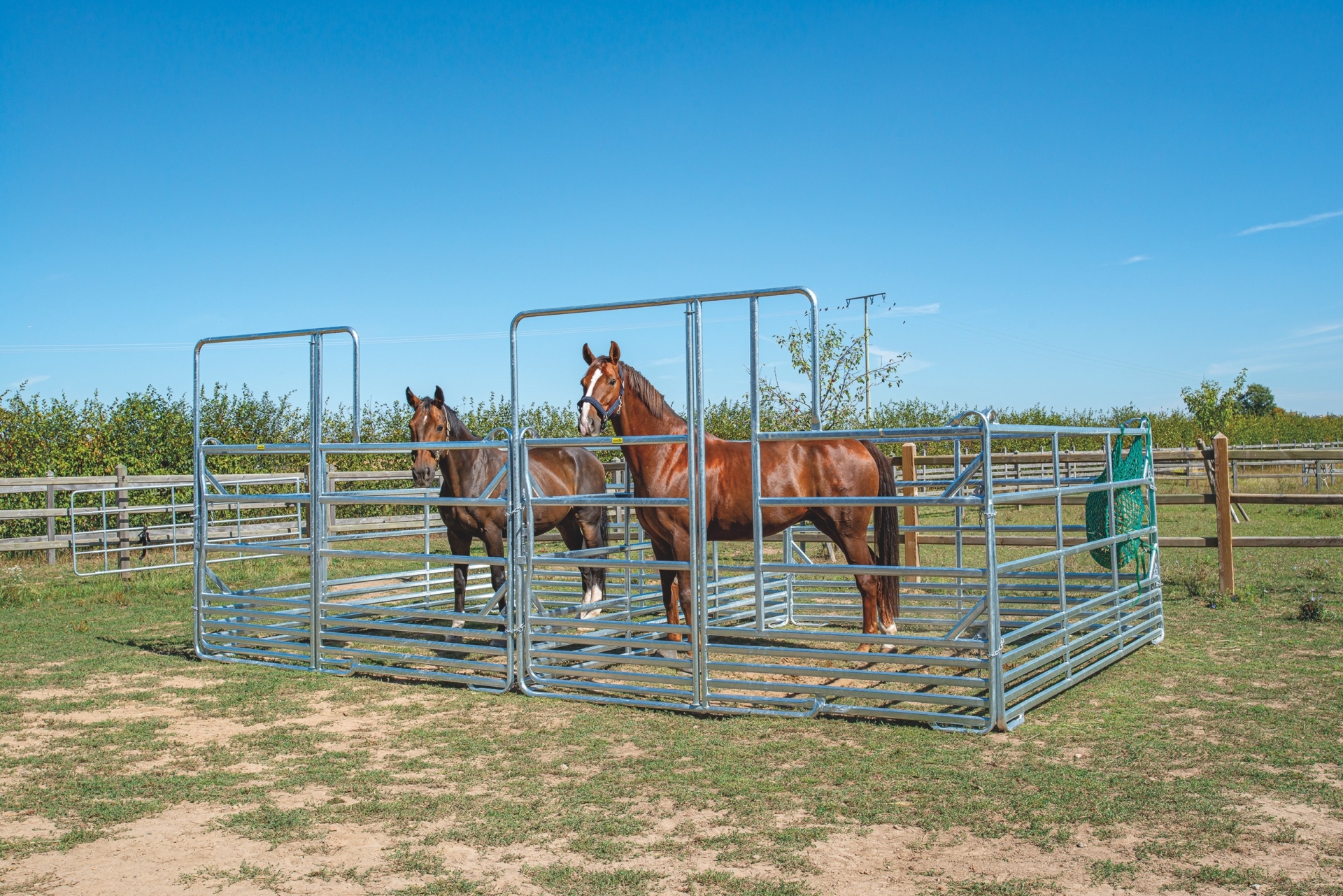 Patura : Panel-sécurité chevaux