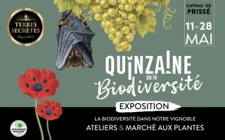 Quinzaine de la biodiversité caveau de Prissé, vignerons des terres secrètes
