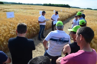 Lors de ses visites d'essais, Bourgogne du Sud a mis l'accent sur l'agronomie et les variétés