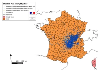 Le zonage FCO sérotype 8 s'étend encore et la vaccination reste de mise