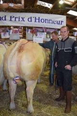 Participation en hausse, mais prix en baisse lors du Festival du Bœuf à Charolles