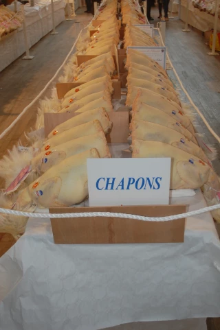 Rendez-vous à Louhans le 15 décembre pour la Glorieuse de Bresse made in Saone-et-Loire