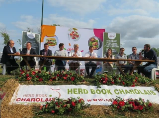 La race bovine charolaise est sans réserve la championne de l'adaptabilité ! 
