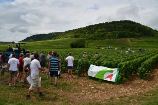 Innovaction fait le plein de solutions pour moderniser ses pratiques de la vigne au chai