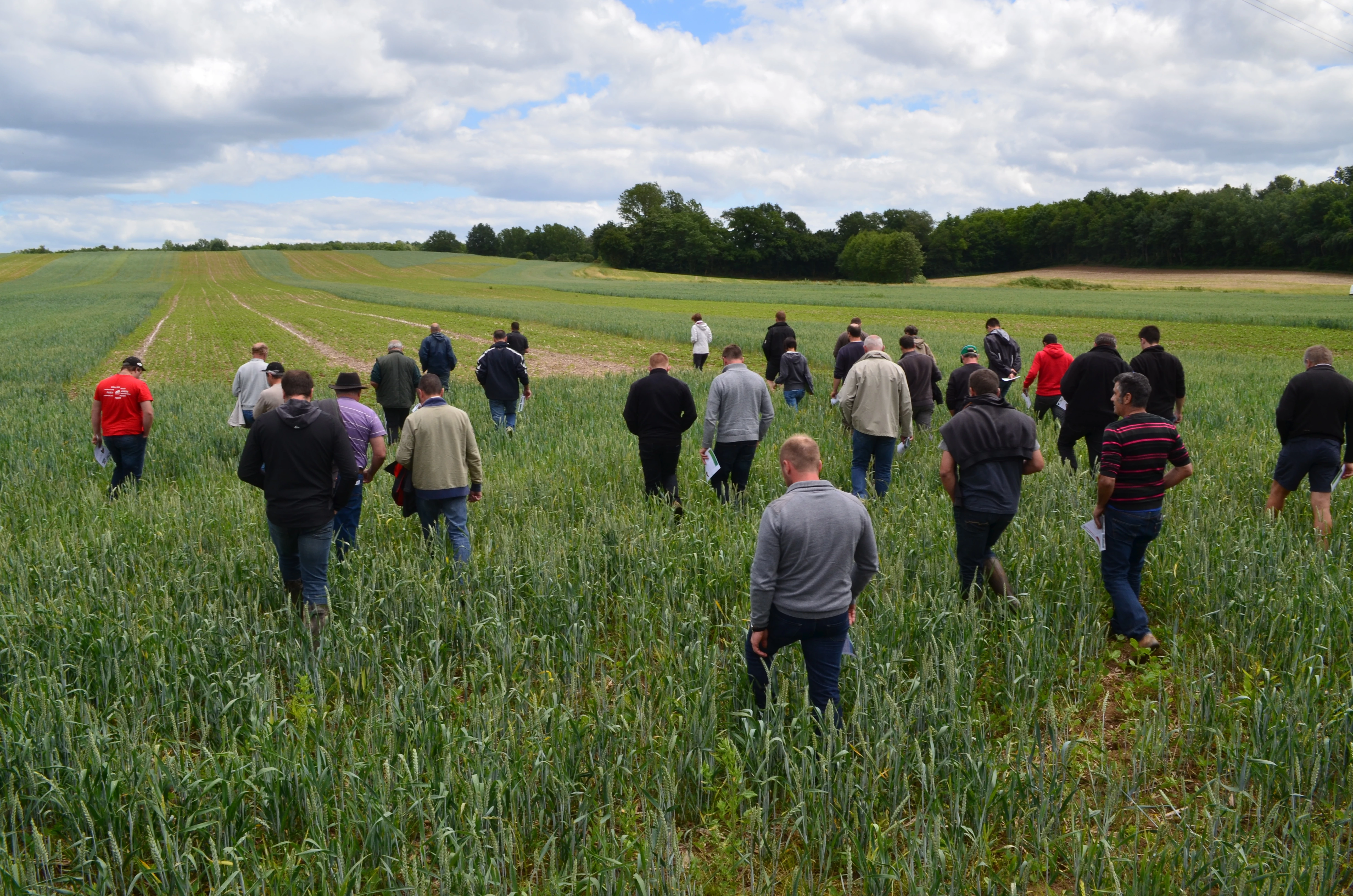 En agronomie, il n'est pas si simple que cela de simplifier