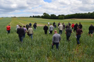 En agronomie, il n'est pas si simple que cela de simplifier