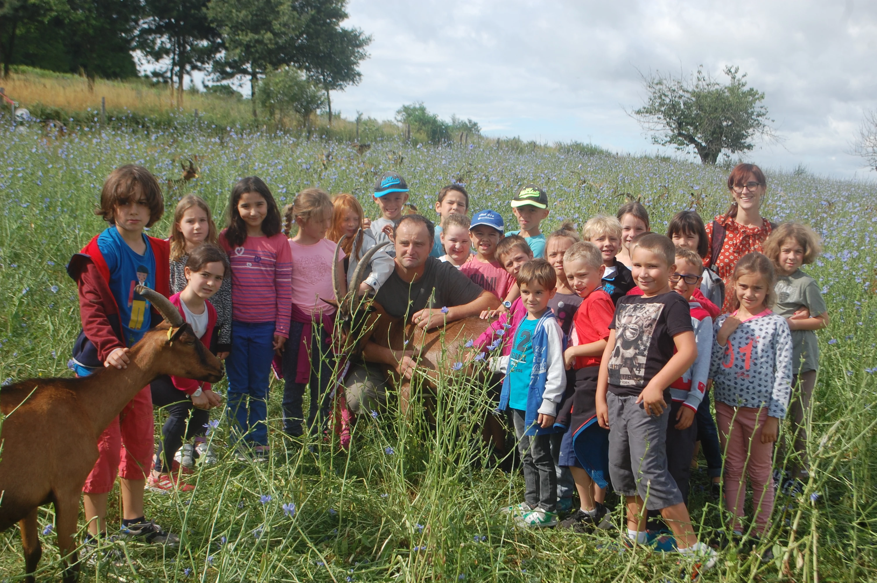 Les élèves de Bissey-sous-Cruchaud découvrent une exploitation caprine