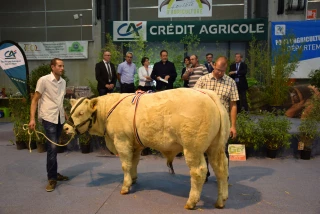 Nouveau succès pour le concours de reproducteurs d'Autun