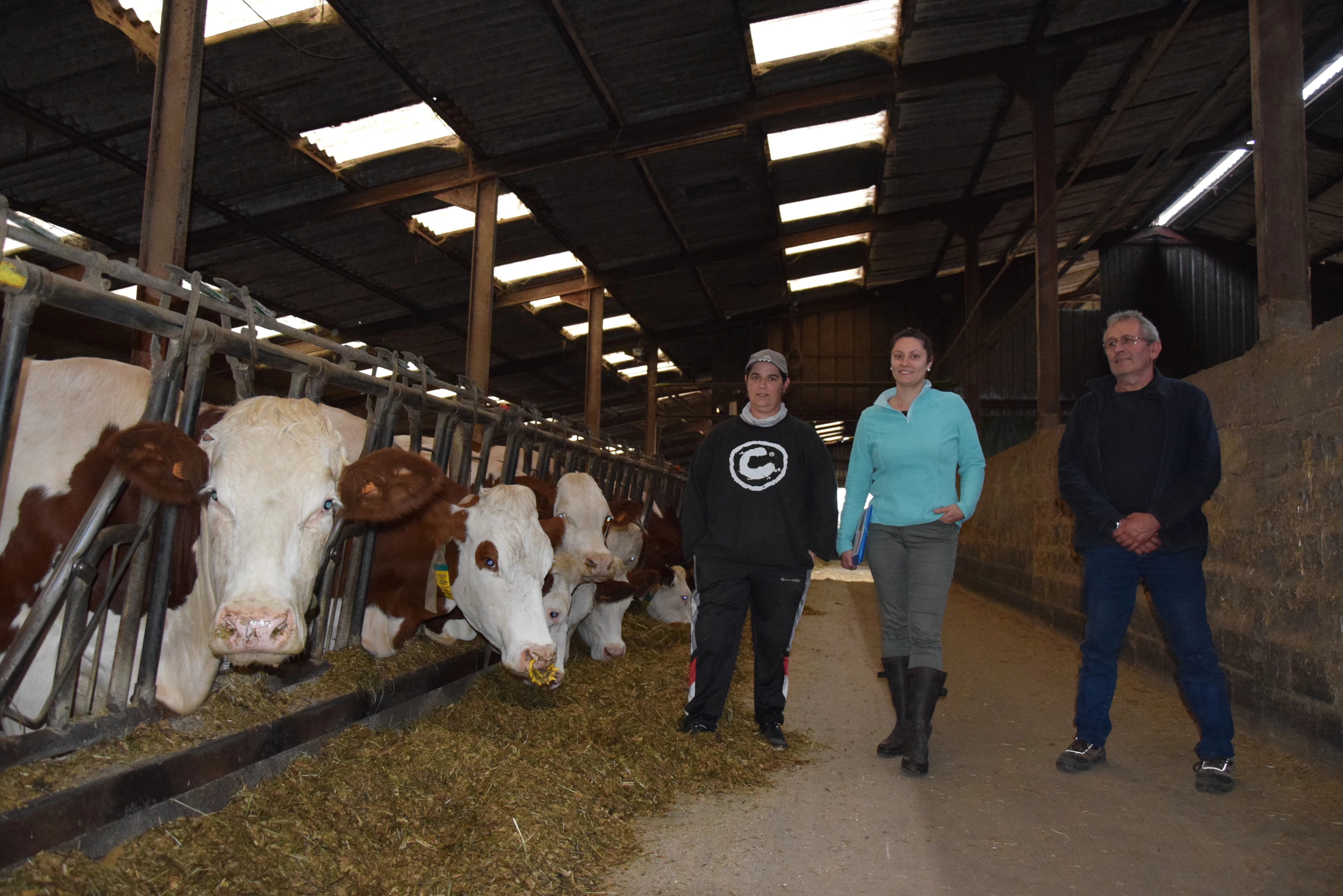 A l'EARL de la Montbéliarde à Huilly-sur-Seille, une conduite technico-économique rigoureuse