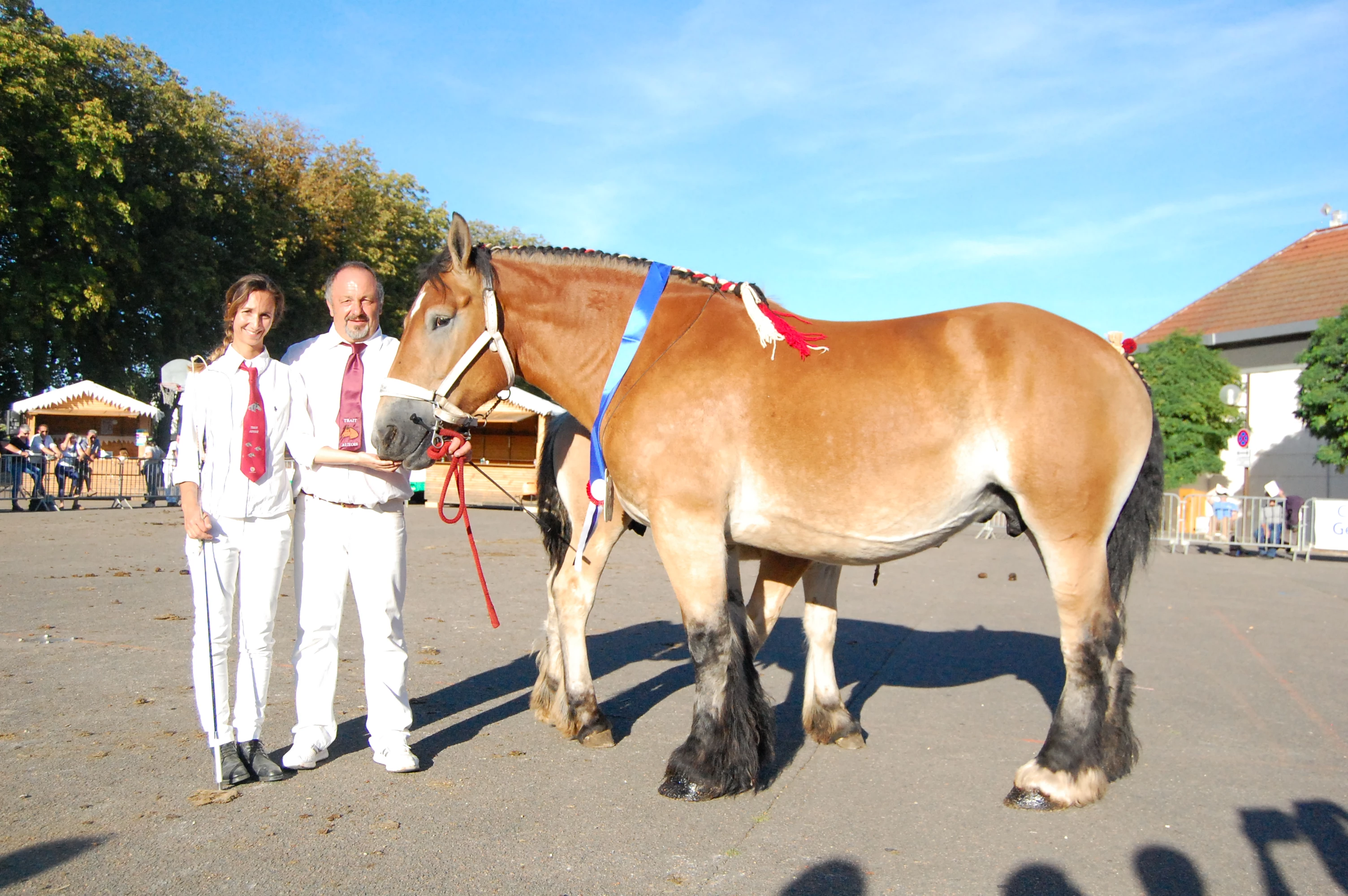 Belle de Challas championne au national de Semur-en-Auxois