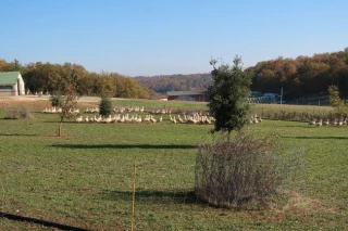 La conquête de l'ouest d'Alexis Peulson