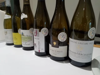 Une première cession des "Lundis de l’Ecole des vins de Bourgogne" réussie à Mâcon