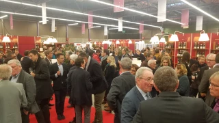 De défi en défi pour le  vignoble de Bourgogne en 2019 !