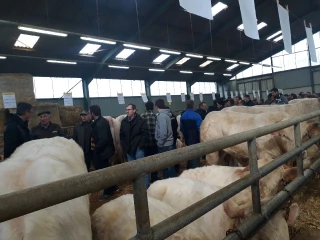 Charolais Horizon se félicite du succès de ses portes ouvertes